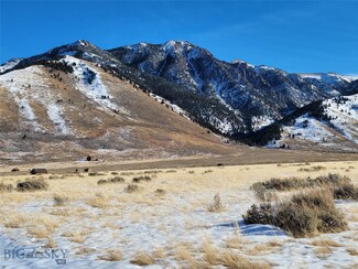Parcel 21 Sportsman's Paradise, Cameron, MT 59720