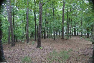 Lot 12 Miller's Point, Quitman, AR 72131