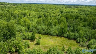 1203 County Road 303, Princeton, AL 35766