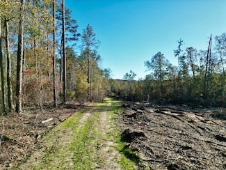 00 County Rd, Troy, AL 36081