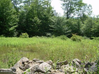 0 Happy Hill Ln Unit 21 WB-90474, Eagles Mere, PA 17731