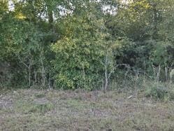 4 Ac Tbd Shad Rd, Williston, SC 29853
