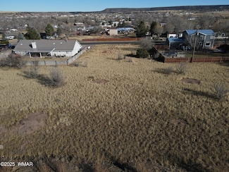 LOT 4 Susie Ln, Springerville, AZ 85938