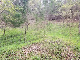 0 Spring Grove Rd Unit 357496, Spout Spring, VA 24593
