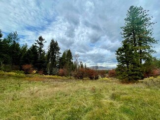1237 Gold Edge Mine Lot A Rd, Kettle Falls, WA 99141