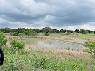 1610 Oaks Rd, Bertram, TX 78605