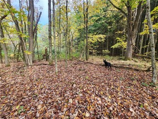 Lot #15.6 Beaver Meadow Rd, Smyrna, NY 13464