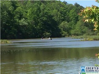 59 Hogan Ln, Ashville, AL 35953