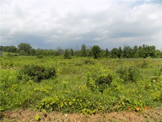 8001 E River Rd, Rush, NY 14543