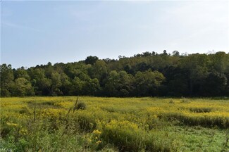 0 Unionvale Rd Unit 4411706, Cadiz, OH 43907