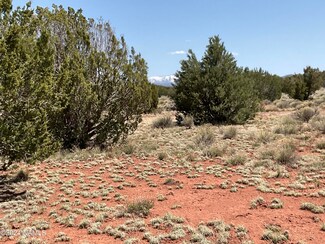 4368 E Parkway Dr Unit 487, Valle, AZ 86046