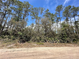 0 Hudson Trail Unit MFRO6303644, Interlachen, FL 32148