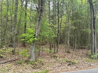155 Stimson St, Palmer, MA 01069
