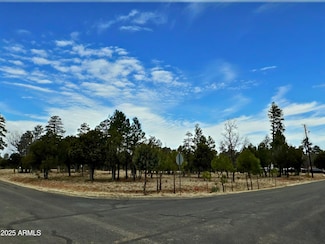 2120 Aztec Cir Unit 171, Happy Jack, AZ 86024