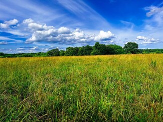 3 M/L Acres Corner of Hammer Holly Rd, Neosho, MO 64850