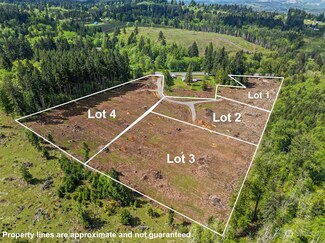 0 Spirit Lake Hwy Unit Lot 1 NWM2231190, Castle Rock, WA 98611
