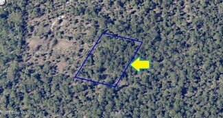 0000 No Access W of Fortuna Ave, Grant Valkaria, FL 32950