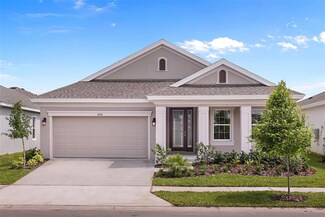 6037 Hidden Branch Dr, Apollo Beach, FL 33572