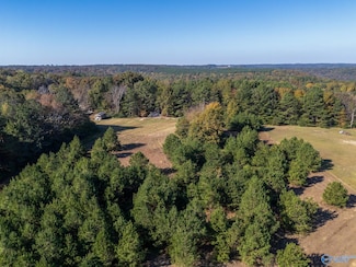 595 County Road 1281, Falkville, AL 35622