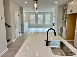 404 Catawba Ave, Davidson, NC 28036
