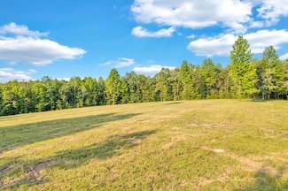 1450 Soak Creek Ln, Grandview, TN 37337