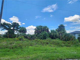 8029 Salem Cir, Port Labelle, FL 33935
