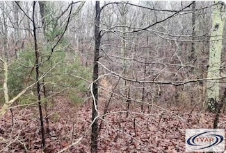 000 Sycamore Dr, Holladay, TN 38341