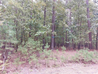 4 Granada Ln, Hot Springs Village, AR 71909