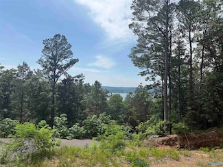 1495 Timberwalk Dr, Guntersville, AL 35976