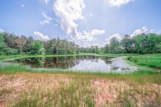 tbd Farm To Market Road 999, Gary City, TX 75643