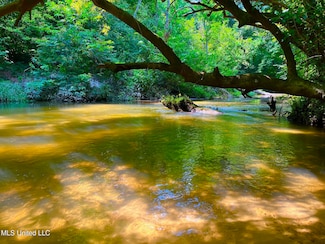 0 Twin Bridge Rd, Sandy Hook, MS 39478