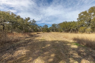 3547 W State Highway 29, Bertram, TX 78605