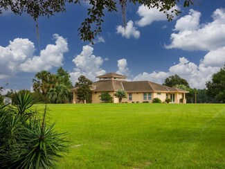 16185 NW 46th St, Morriston, FL 32668