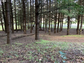695 NW Loop Rd, White Salmon, WA 98672