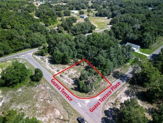 9042-1642-11 Guava Terrace, Ocklawaha, FL 32179