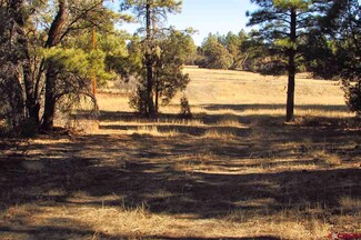 0 Antero Dr Unit 739871, Pagosa Springs, CO 81147
