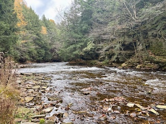 0 Chasm Rd, Chateaugay, NY 12920