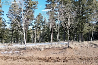 278 Cherry Lake Dr, Divide, CO 80814