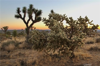 7635 La Contenta Rd, Yucca Valley, CA 92284