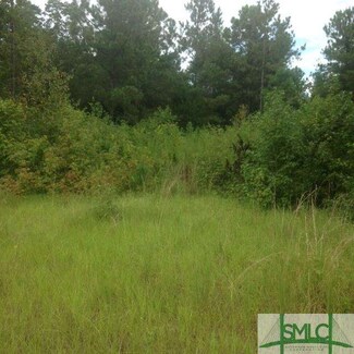 0 Stoopto Rd, Sylvania, GA 30467