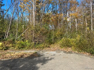 V/L Theodore Ave, Evans, NY 14006