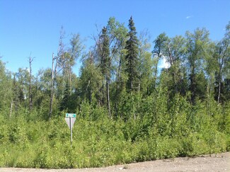 14301 E Spruce Cir, Talkeetna, AK 99676