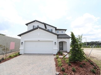 Magnolia, Wesley Chapel, FL 33545