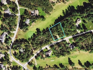 Lot 30 White Pine Dr, Cadillac, MI 49601