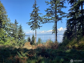 0 Raccoon Point Rd Unit NWM2362715, Eastsound, WA 98245