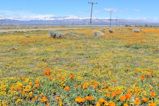 0 Cor Avenue C12 & 141st St W Unit 24000030, Fairmont, CA 93536