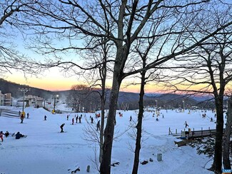 259 Timbers Condos, Wintergreen Resort, VA 22967