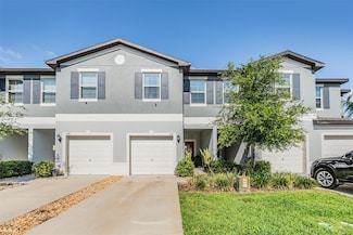 1594 Cassius St, Lutz, FL 33549