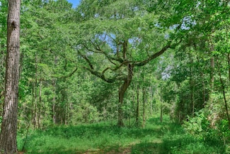 Tract C Sharp View Rd, Montgomery, TX 77356