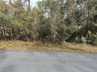 3922 N Longvalley Rd, Hernando, FL 34442